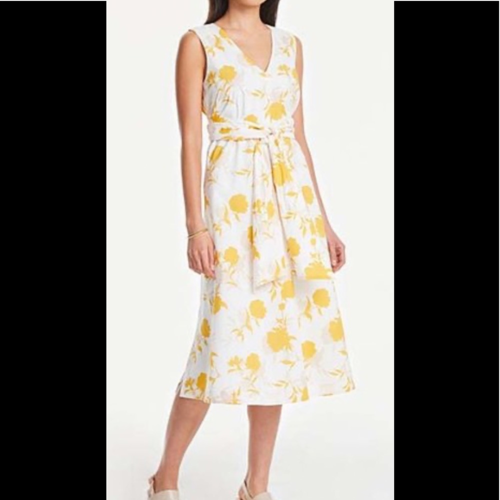 NWT Ann Taylor Factory pretty cotton dress